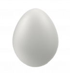 egg.png