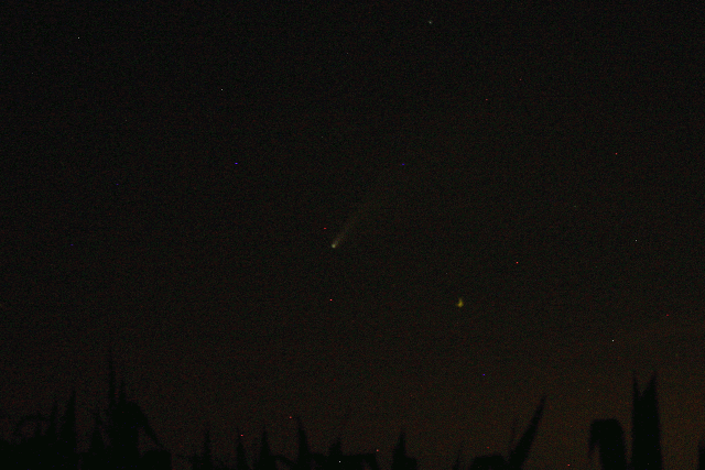 comet64x48.gif